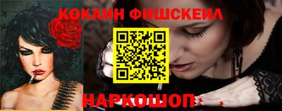 мдпв Кингисепп