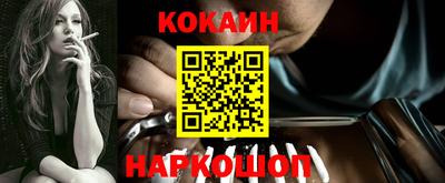 мдпв Кингисепп
