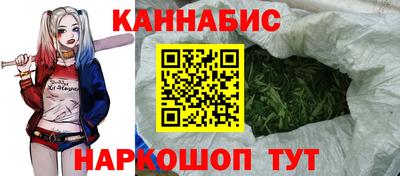 мдпв Кингисепп