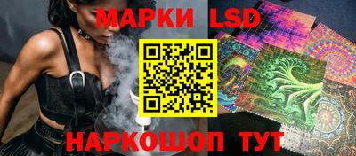 мдпв Кингисепп