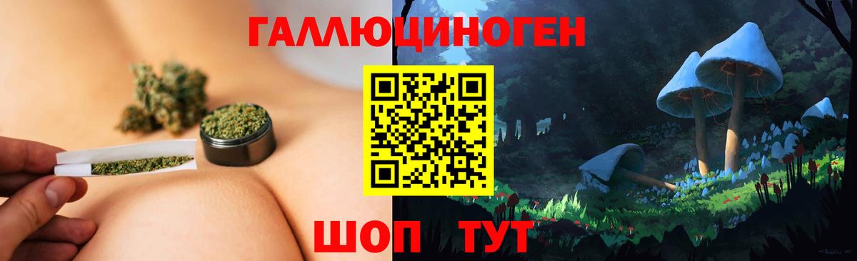 Псилоцибиновые грибы Psilocybe  Вход с VPN  Балтийск 